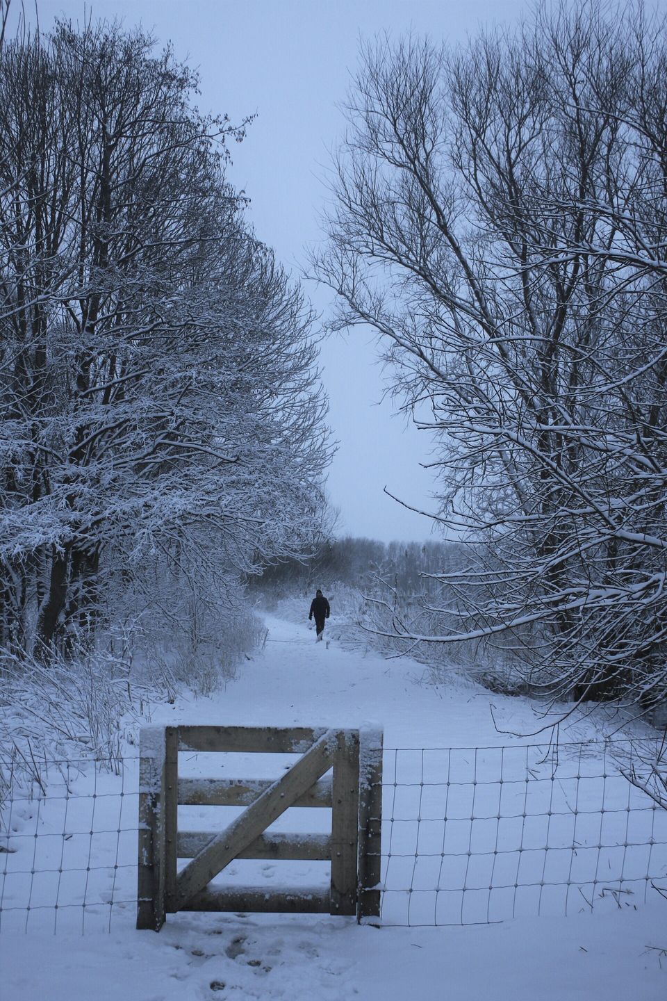 Laarzen voor discount in de sneeuw